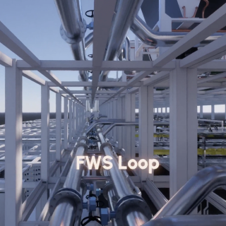 FWS Loop